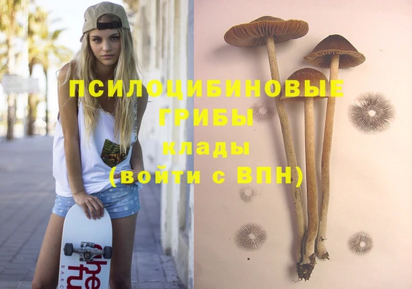 гидропоника Карталы