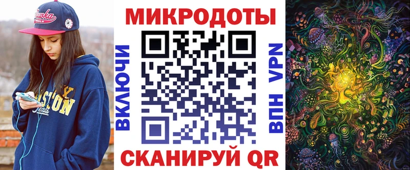 Купить  Городец  Галлюциногенные грибы Psilocybine cubensis 